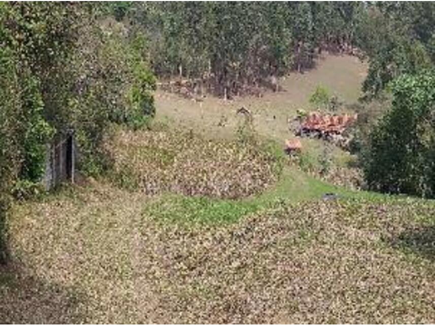 Imagem 20 do Leilão de Área Rural - Bairro Dos Alves - Joanópolis/SP