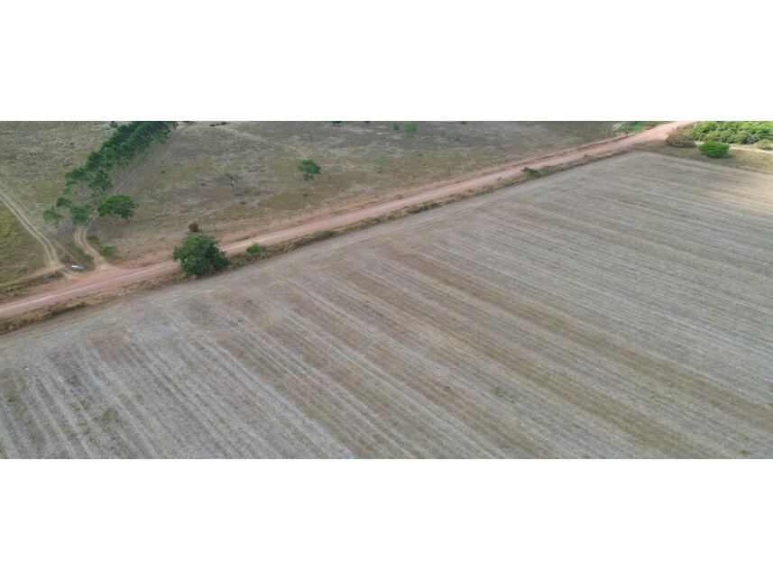 Imagem 5 do Leilão de Área Rural - Projeto Assentamento São José União - Matupá/MT