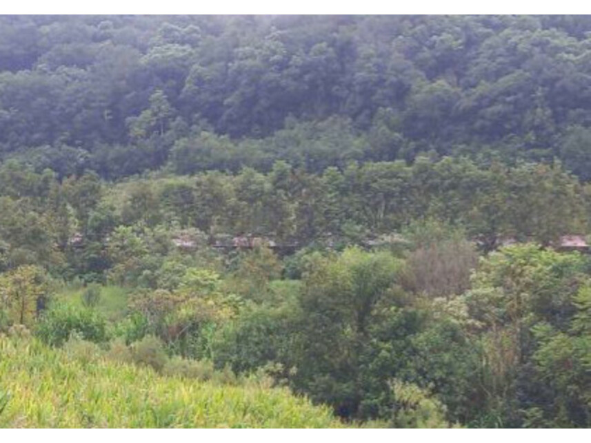 Imagem 5 do Leilão de Área Rural - Zona Rural - Iraceminha/SC