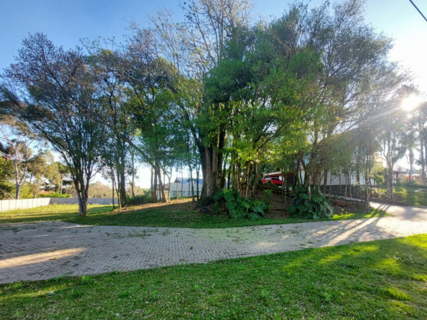 Imagem 14 do Leilão de Casa - Pousada da Neve - Nova Petrópolis/RS