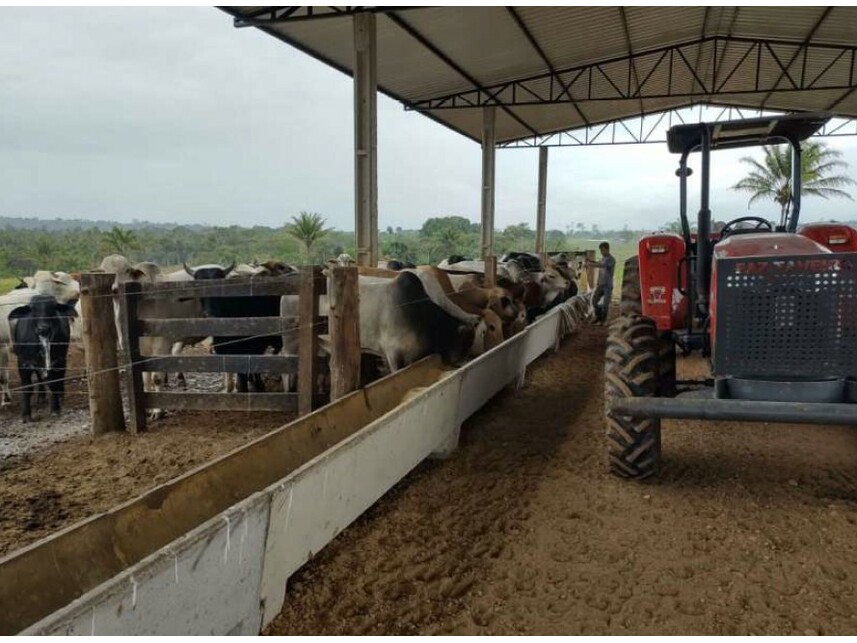 Imagem 2 do Leilão de Área Rural - Zona Rural - Vilhena/RO