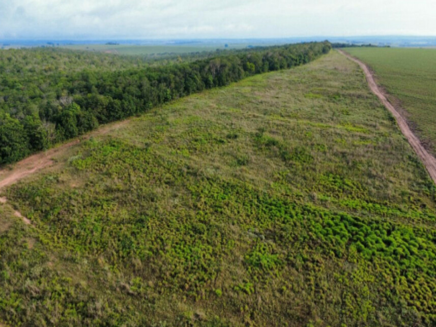 Imagem 3 do Leilão de Área Rural - Zona Rural - Mineiros/GO