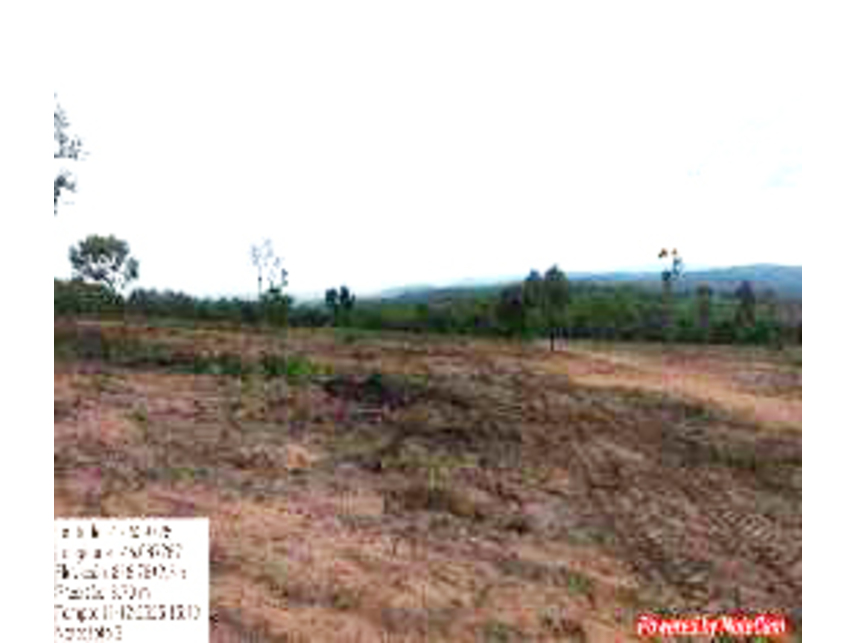 Imagem 4 do Leilão de Área Rural - Zona Rural - João Pinheiro/MG