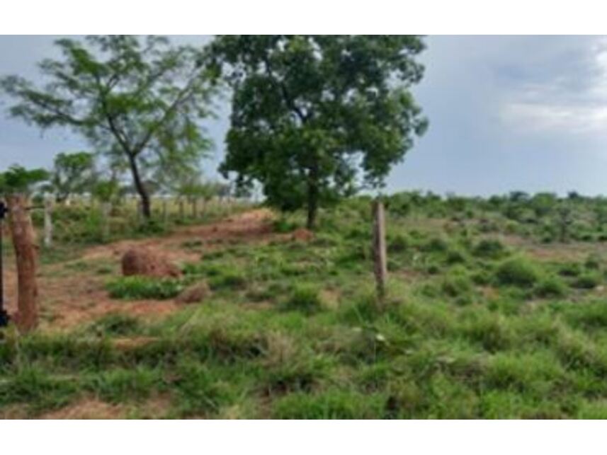 Imagem 2 do Leilão de Área Rural - Zona Rural - Formosa da Serra Negra/MA