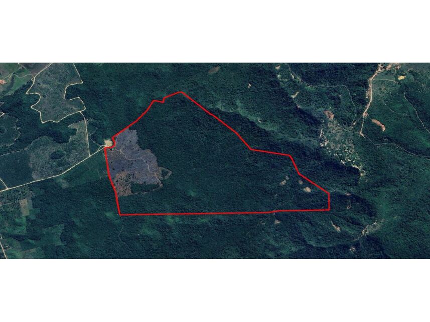 Imagem do Leilão de Área Rural - Zona Rural - João Lisboa/MA