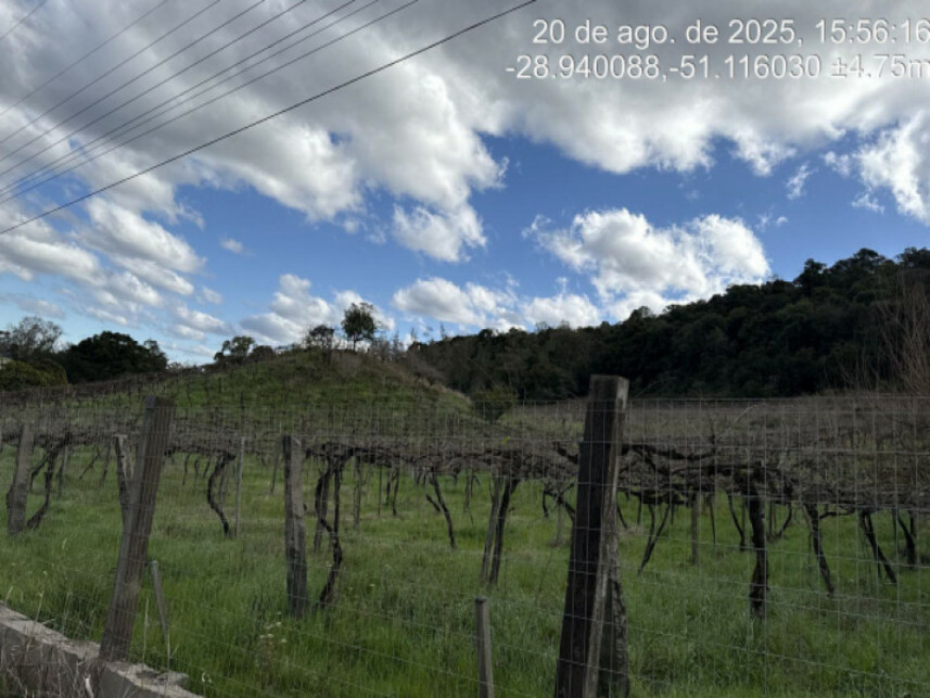 Imagem 2 do Leilão de Terreno - Linha Santana - São Marcos/RS