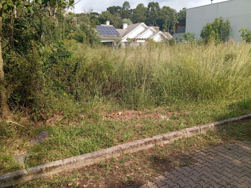 Imagem 2 do Leilão de Terreno - Vila Juriti - Nova Petrópolis/RS