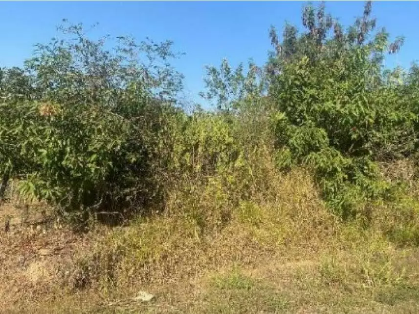 Leilão de Terreno Imóvel em Capivari/SP - Lance Inicial R$ 26.820 - Judicial