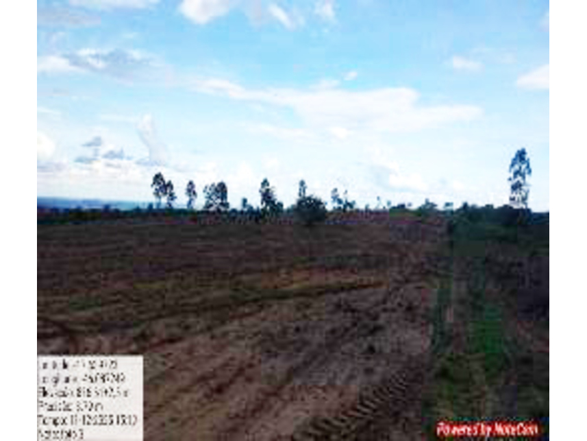 Imagem 15 do Leilão de Área Rural - Zona Rural - João Pinheiro/MG