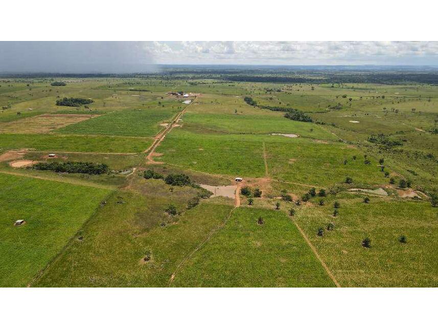 Imagem 5 do Leilão de Área Rural - Zona Rural - Alta Floresta D'oeste/RO