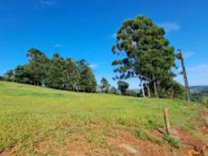 Imagem 1 do Leilão de Área Rural - Interior - União do Oeste/SC