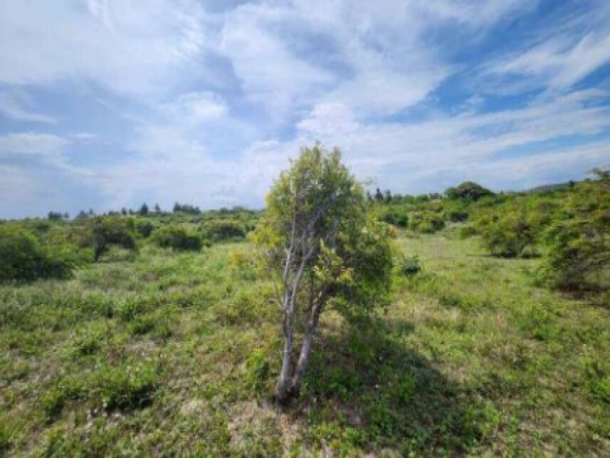 Imagem 1 do Leilão de Terreno - Santa Maria - Aracaju/SE