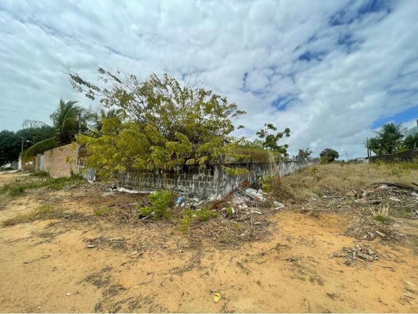 Imagem 4 do Leilão de Terreno - Bairro de Jacumã - Conde/PB