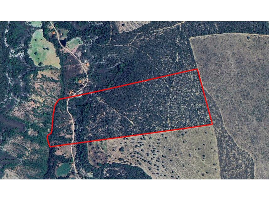 Imagem 1 do Leilão de Área Rural - Zona Rural - João Pinheiro/MG