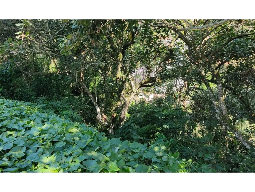 Imagem 4 do Leilão de Terreno - Caputera - Arujá/SP