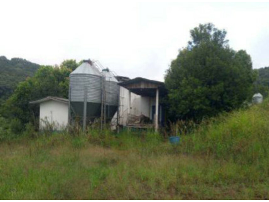 Imagem 3 do Leilão de Área Rural - Zona Rural - Iraceminha/SC