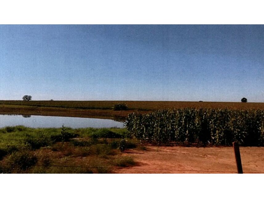 Imagem 7 do Leilão de Área Rural - Zona Rural - Itararé/SP