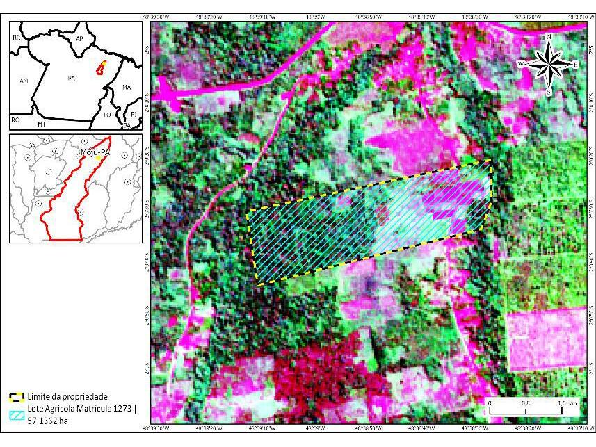 Imagem 1 do Leilão de Área Rural - Zona Rural - Moju/PA