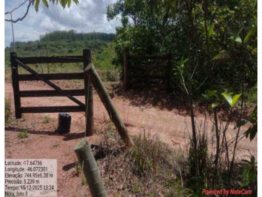 Imagem 6 do Leilão de Área Rural - Zona Rural - João Pinheiro/MG
