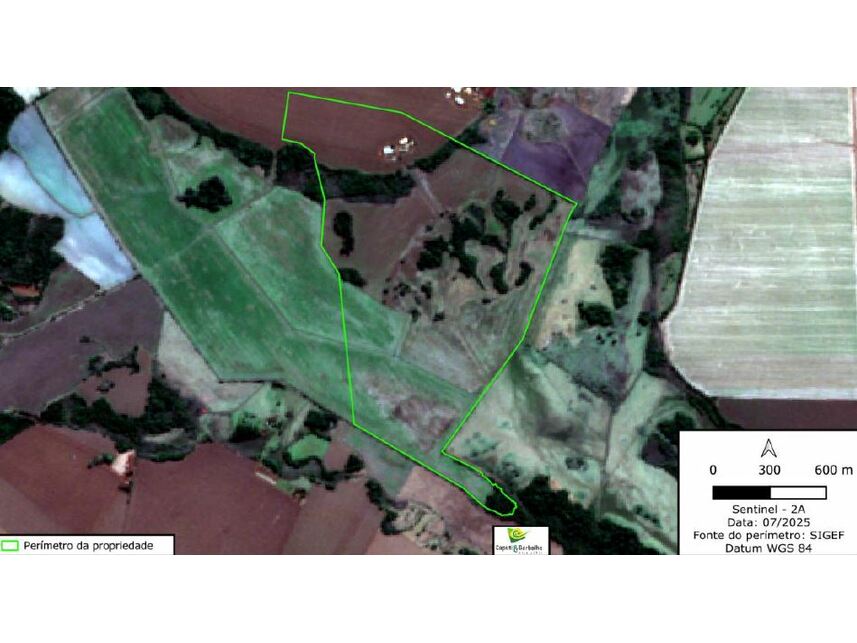 Imagem 1 do Leilão de Área Rural - Guaçu - Dourados/MS