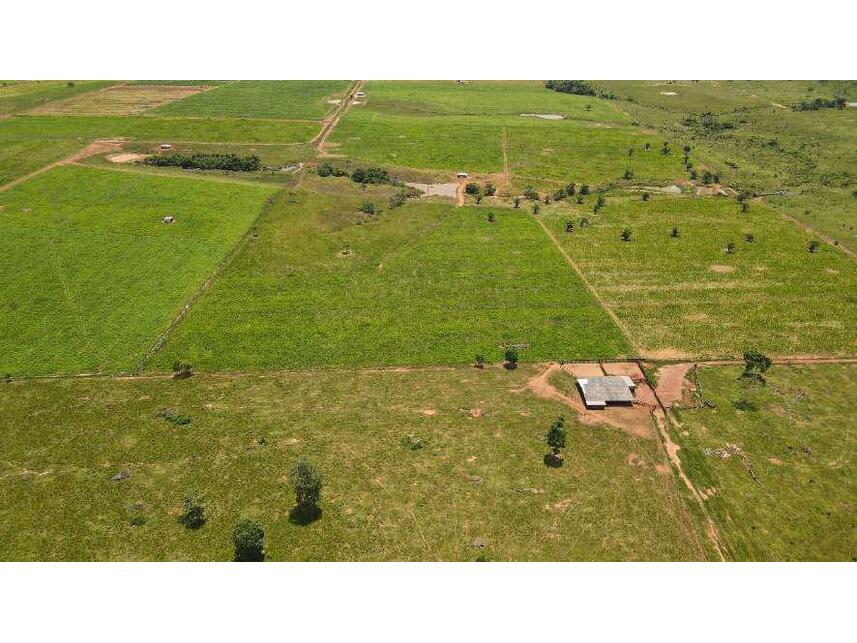 Imagem 6 do Leilão de Área Rural - Zona Rural - Alta Floresta D'oeste/RO
