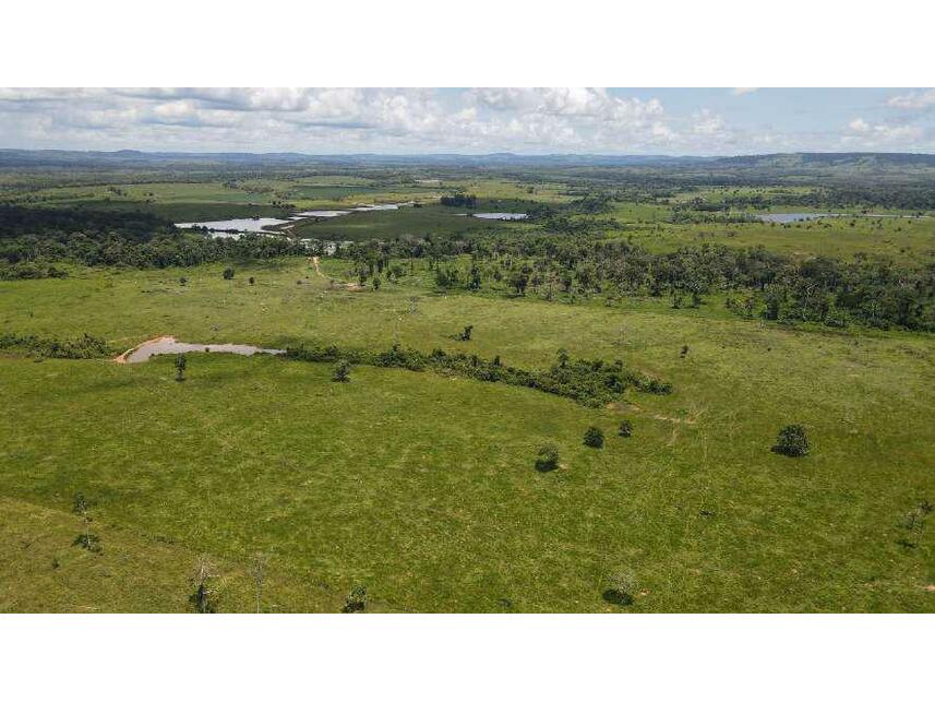 Imagem 4 do Leilão de Área Rural - Zona Rural - Alta Floresta D'oeste/RO