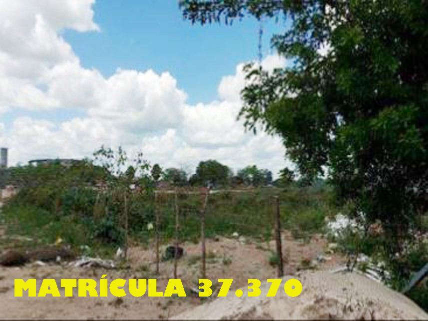 Imagem 6 do Leilão de Terreno - São João - Feira de Santana/BA