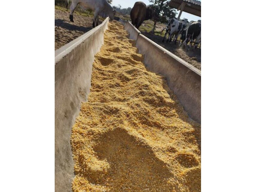 Imagem 7 do Leilão de Área Rural - Zona Rural - Vilhena/RO