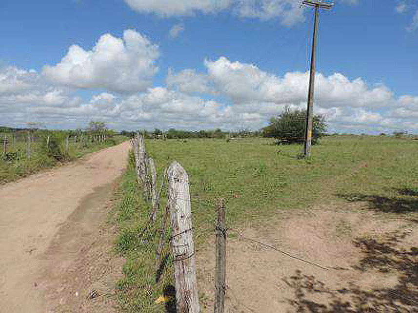Imagem 5 do Leilão de Terreno - Santa Luzia - Nova Cruz/RN