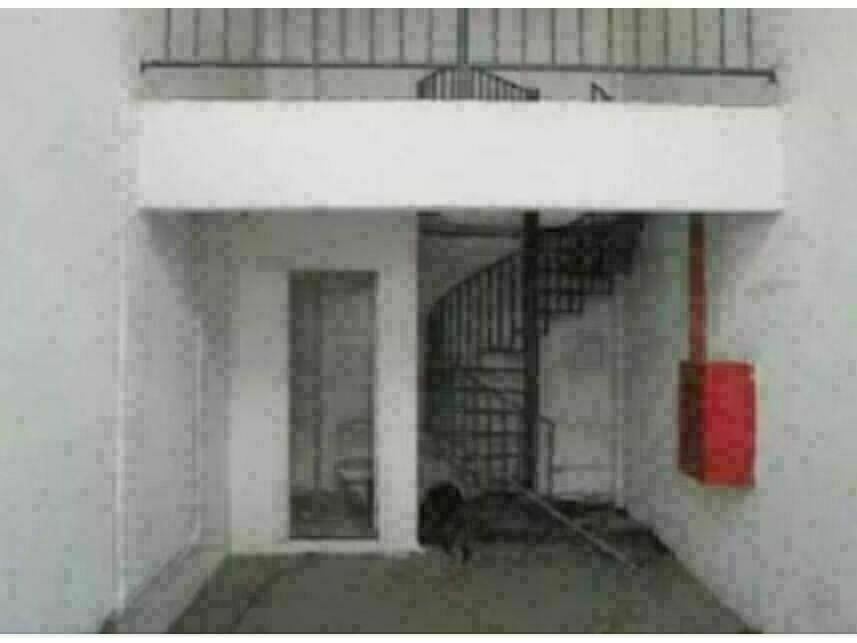 Imagem 4 do Leilão de Loja - Jacarepaguá - Rio de Janeiro/RJ