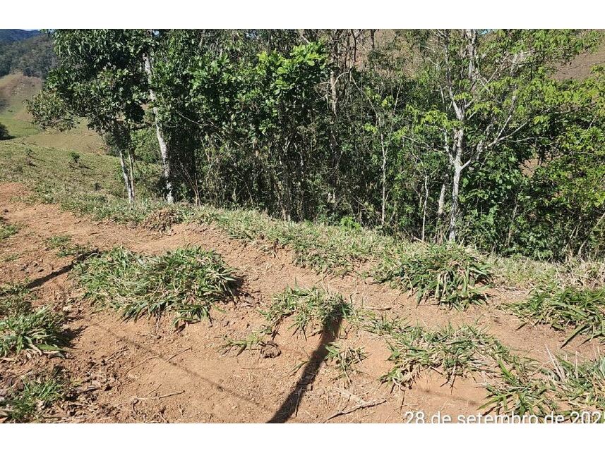 Imagem 10 do Leilão de Área Rural - Zona Rural - Bom Jardim/RJ