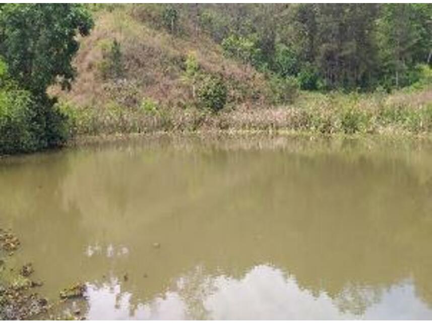 Imagem 22 do Leilão de Área Rural - Bairro Dos Alves - Joanópolis/SP