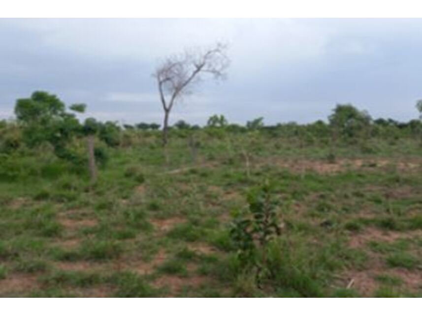 Imagem 3 do Leilão de Área Rural - Zona Rural - Formosa da Serra Negra/MA