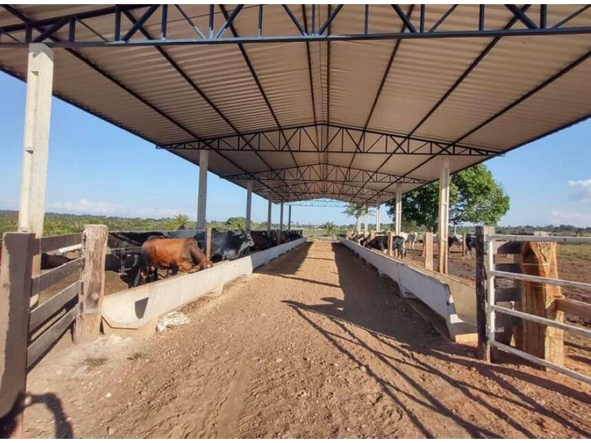 Imagem 4 do Leilão de Área Rural - Zona Rural - Vilhena/RO