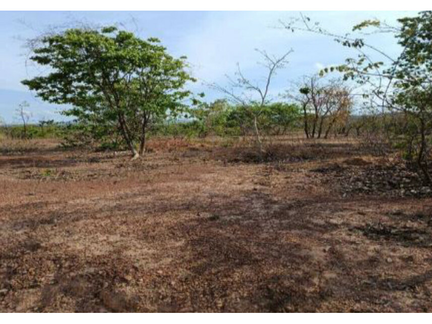 Imagem 2 do Leilão de Área Rural - Zona Rural - Buritis/MG