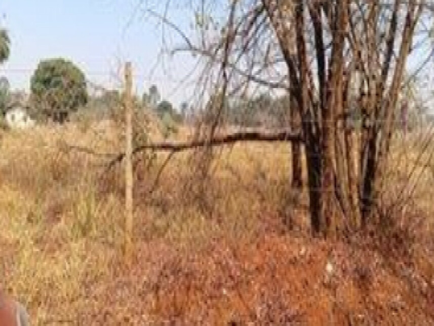 Imagem 4 do Leilão de Terreno - Vila São Domingos - Goianira/GO