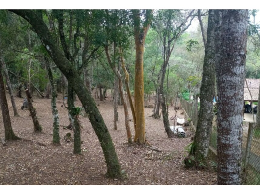 Imagem 3 do Leilão de Terreno - Bairro do Carmo - São Roque/SP