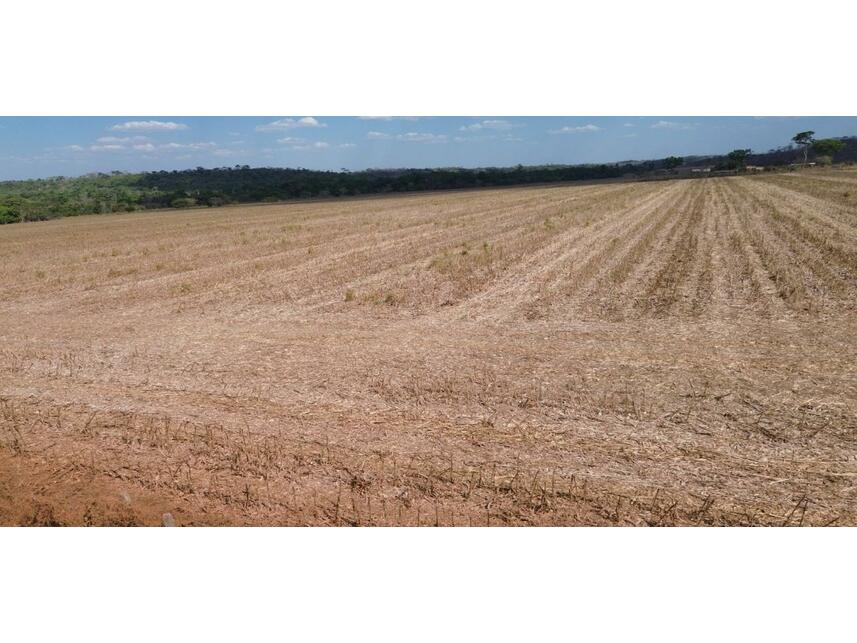 Imagem 3 do Leilão de Área Rural - Projeto Assentamento São José União - Matupá/MT