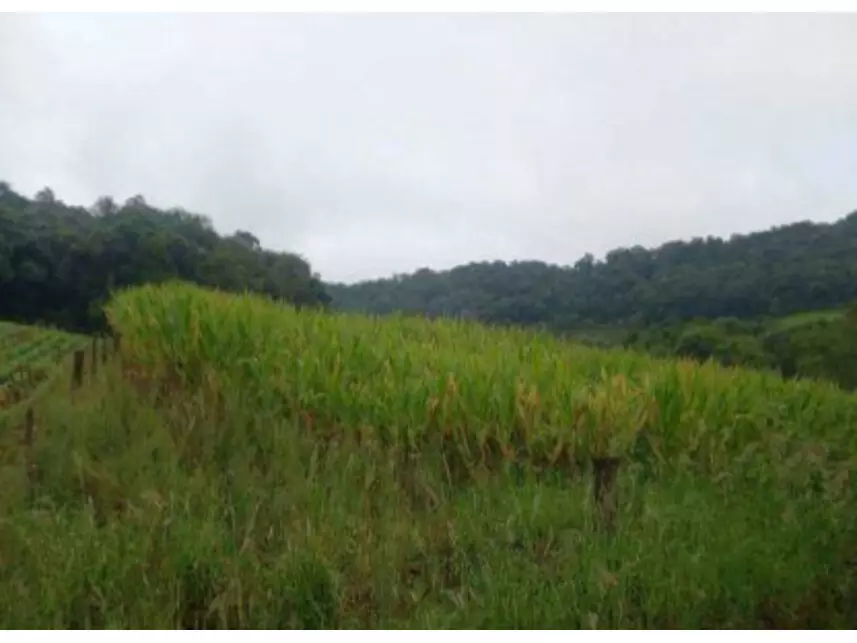 Leilão de Terreno Imóvel em Iraceminha/SC - Lance Inicial R$ 1.140.000 - Extrajudicial