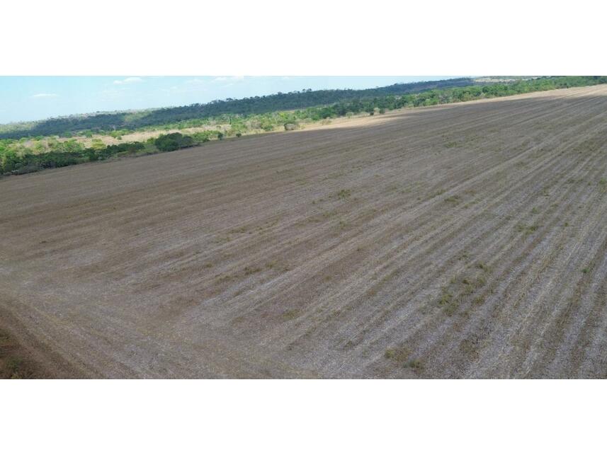 Imagem 8 do Leilão de Área Rural - Projeto Assentamento São José União - Matupá/MT