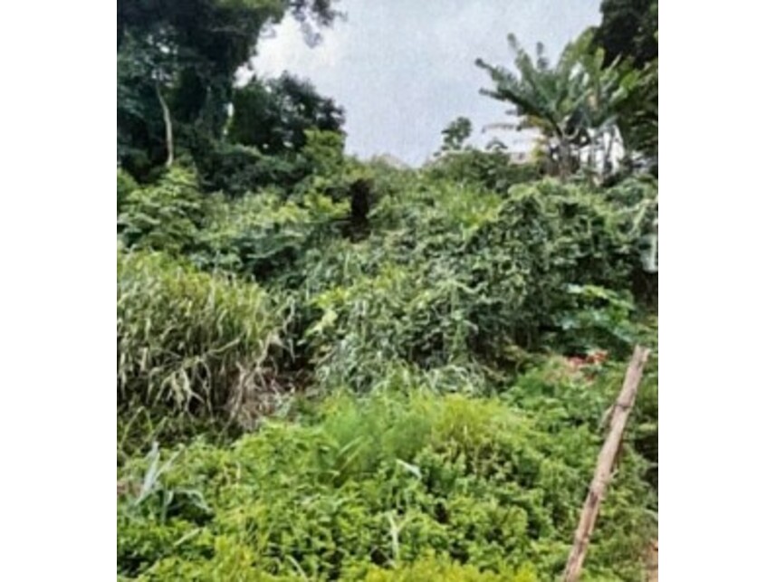 Imagem 2 do Leilão de Terreno - Parque Hortênsia - Bom Jesus dos Perdões/SP