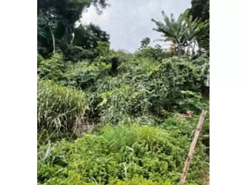 Terreno 264m² em Bom Jesus dos Perdões/SP