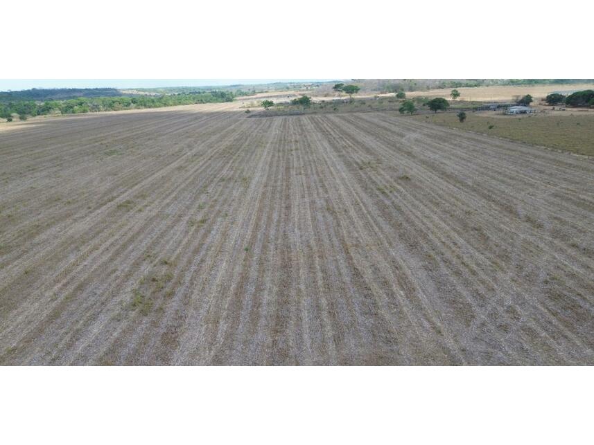 Imagem 9 do Leilão de Área Rural - Projeto Assentamento São José União - Matupá/MT