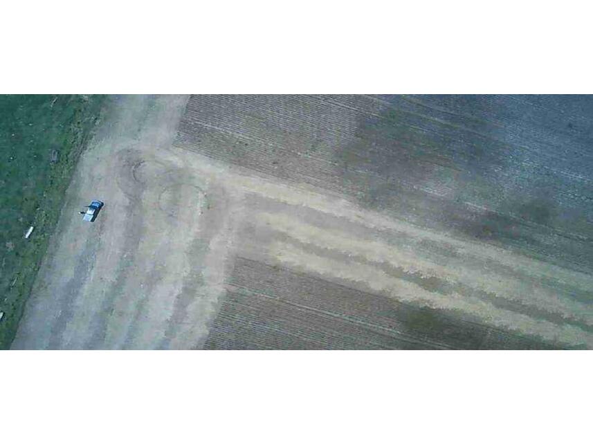 Imagem 10 do Leilão de Área Rural - Zona Rural - Guarantã do Norte/MT