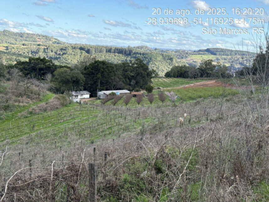 Imagem 3 do Leilão de Terreno - Linha Santana - São Marcos/RS
