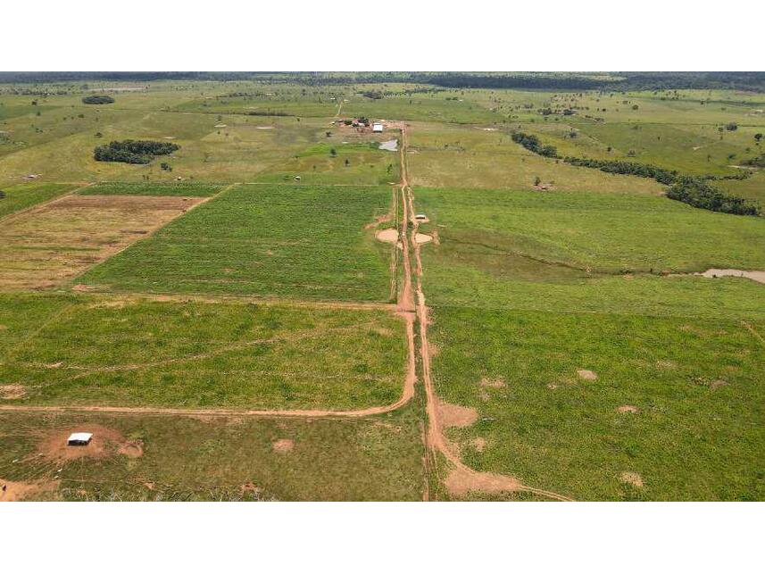 Imagem 3 do Leilão de Área Rural - Zona Rural - Alta Floresta D'oeste/RO