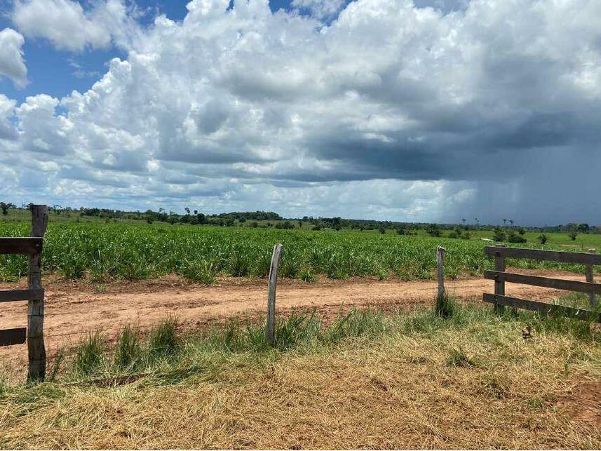 Imagem 12 do Leilão de Área Rural - Zona Rural - Alta Floresta D'oeste/RO