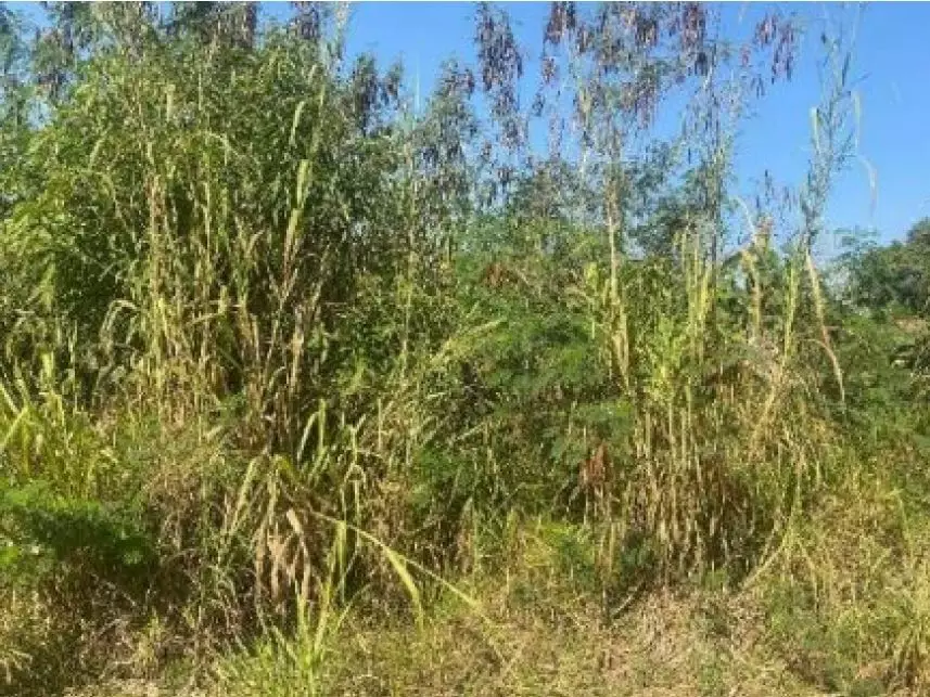 Leilão de Terreno Imóvel em Capivari/SP - Lance Inicial R$ 26.820 - Judicial