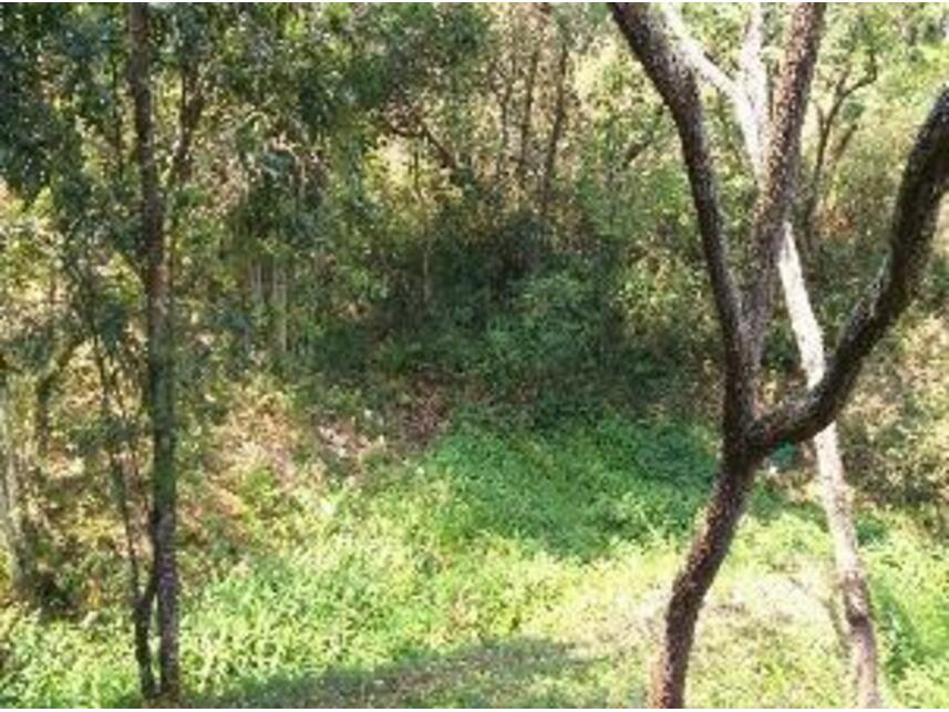 Imagem 21 do Leilão de Área Rural - Bairro Dos Alves - Joanópolis/SP