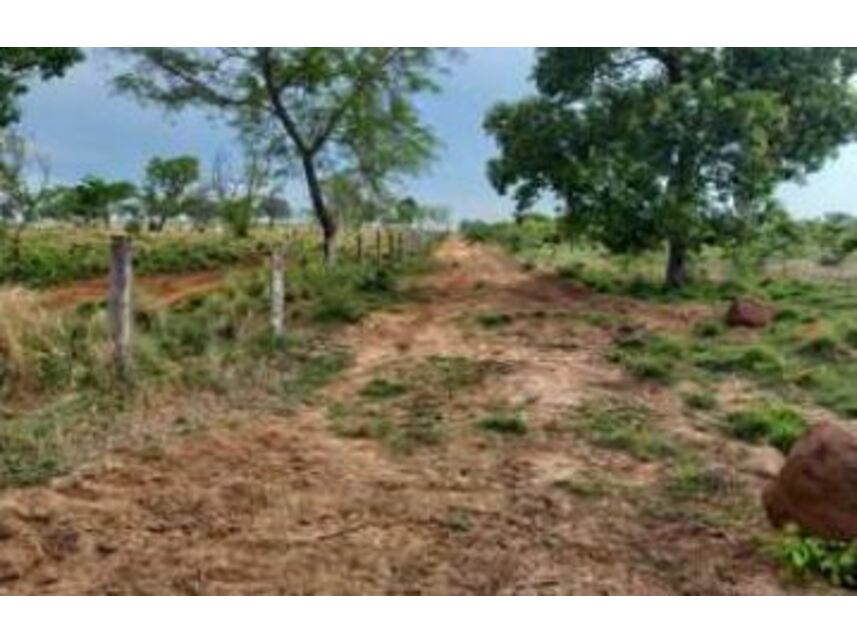 Imagem 5 do Leilão de Área Rural - Zona Rural - Formosa da Serra Negra/MA